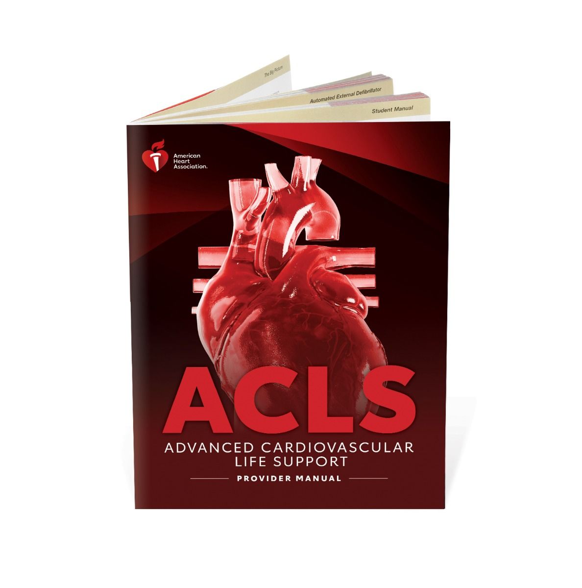 ACLS Provider - Initial